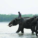 Explore Manas National Park