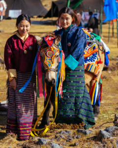 Festival-240x300.png