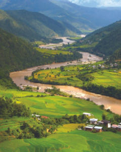 Valley-240x300.png